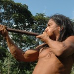 AMAZONIA-WEB-05