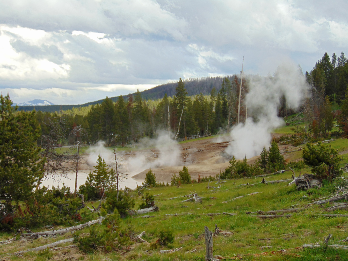 ALEX-Yellowstone-08a