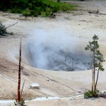 ALEX-Yellowstone-08e